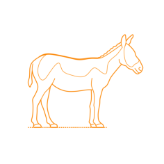 Animals Equines Indian Wild Ass Engraving Svg Design, Free Vectors File